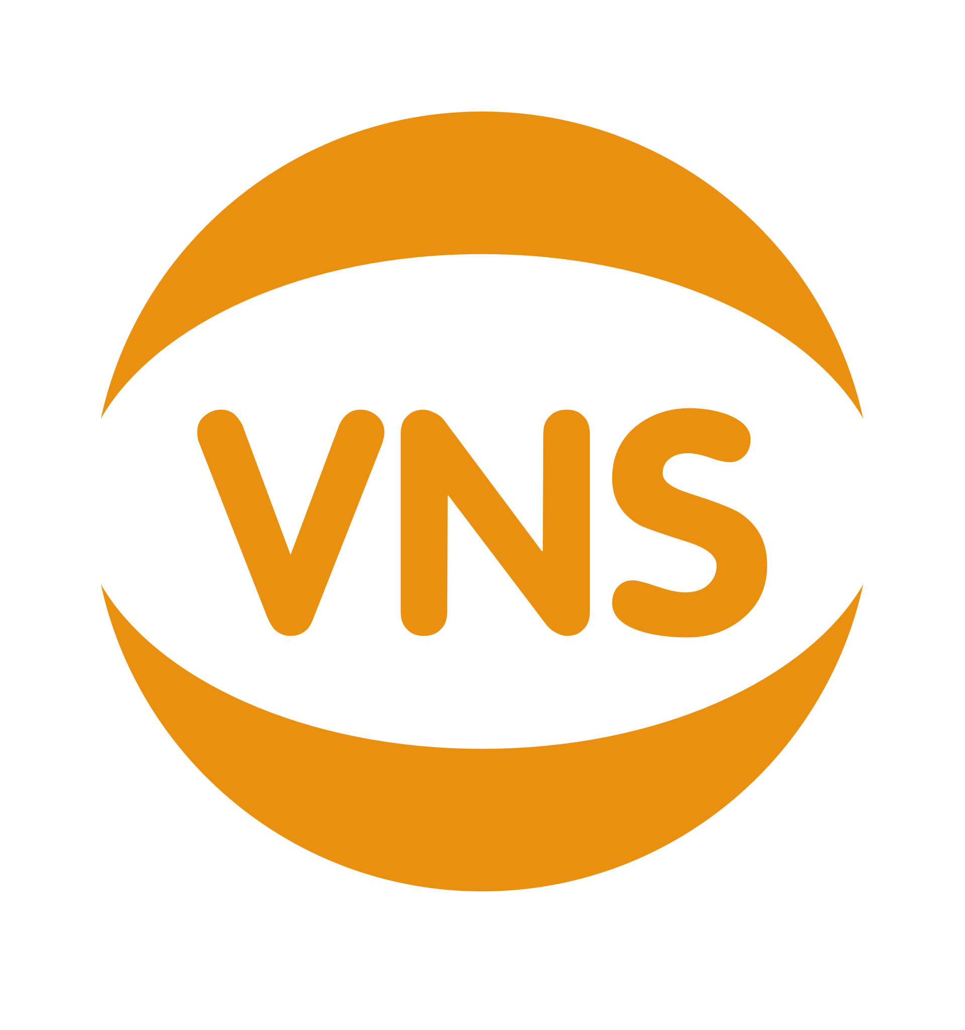 Logo Viễn Nam Solutions